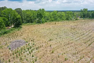 0 R L Lee Rd, Statesboro, GA 30461 - Photo 1