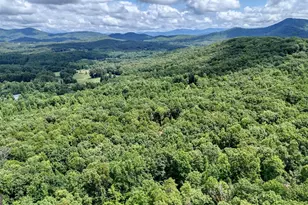 1411 Bradley Rd, Blairsville, GA 30512 - Photo 49