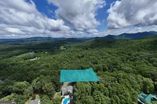 1411 Bradley Rd, Blairsville, GA 30512 - Photo 51