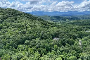 1411 Bradley Rd, Blairsville, GA 30512 - Photo 47