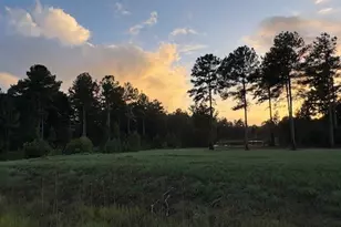 221 Park View Ln, Kingsland, GA 31548 - Photo 43