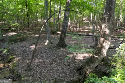 90 Cardinal Cove, Big Canoe, GA 30143 - Photo 9