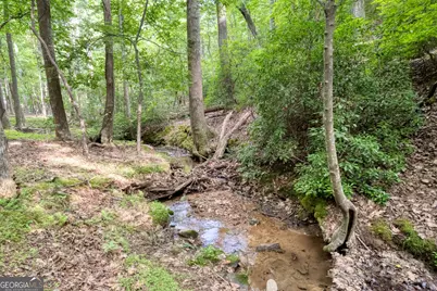 90 Cardinal Cove, Big Canoe, GA 30143 - Photo 5