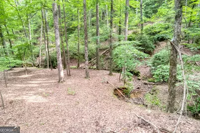 90 Cardinal Cove, Big Canoe, GA 30143 - Photo 3