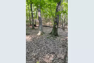 90 Cardinal Cove, Big Canoe, GA 30143 - Photo 1