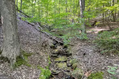 90 Cardinal Cove, Big Canoe, GA 30143 - Photo 7