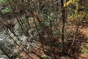 17 Dach Bruecke Gasse, Helen, GA 30545 - Photo 27