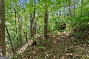 17 Dach Bruecke Gasse, Helen, GA 30545 - Photo 41