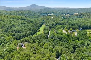 17 Dach Bruecke Gasse, Helen, GA 30545 - Photo 55