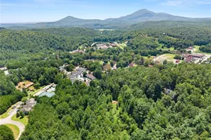 17 Dach Bruecke Gasse, Helen, GA 30545 - Photo 63