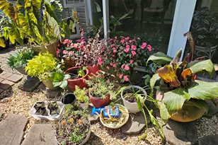 357 Winthrop Ln, McDonough, GA 30253 - Photo 63