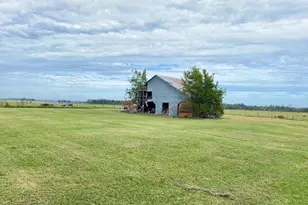 1088 Tippettville Rd, Pineview, GA 31071 - Photo 31