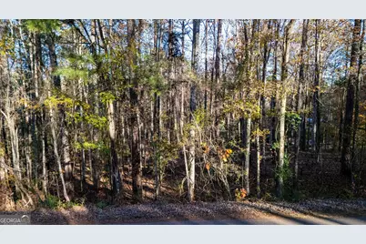 0 Waterview Drive, Lagrange, GA 30240 - Photo 5