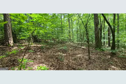 261 Retreat Trail, Lagrange, GA 30240 - Photo 5