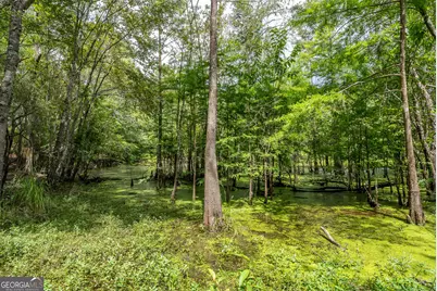 519 Wiltsie Way, Waynesville, GA 31566 - Photo 29