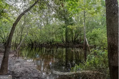 519 Wiltsie Way, Waynesville, GA 31566 - Photo 25