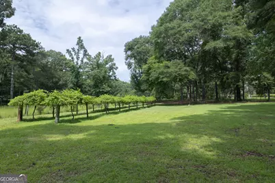 164 Snead Road, Fayetteville, GA 30215 - Photo 59