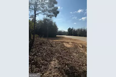 0 George Moore Road, Statesboro, GA 30461 - Photo 1