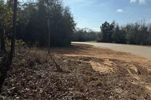 0 George Moore Rd, Statesboro, GA 30461 - Photo 1