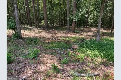 12371 Panhandle Road #LOT 3, Hampton, GA 30228 - Photo 13