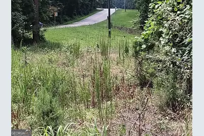 12371 Panhandle Road #LOT 3, Hampton, GA 30228 - Photo 19