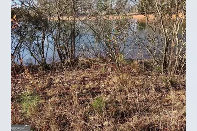 12371 Panhandle Road #LOT 3, Hampton, GA 30228 - Photo 33