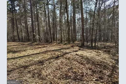 12371 Panhandle Road #LOT 3, Hampton, GA 30228 - Photo 21