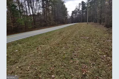 12371 Panhandle Road #LOT 3, Hampton, GA 30228 - Photo 17