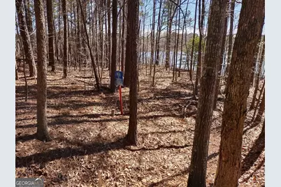 12371 Panhandle Road #LOT 3, Hampton, GA 30228 - Photo 25