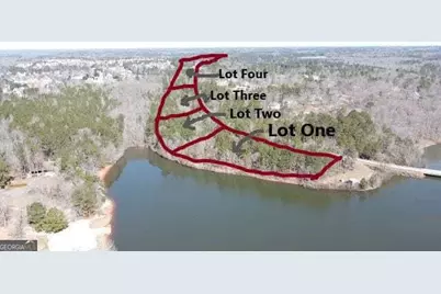 12371 Panhandle Road #LOT 3, Hampton, GA 30228 - Photo 3