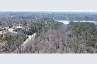 12371 Panhandle Road #LOT 3, Hampton, GA 30228 - Photo 5