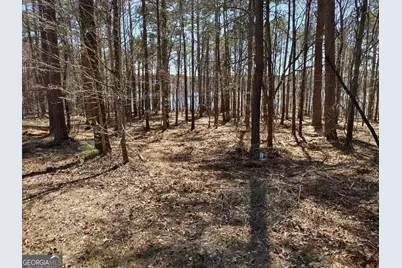 12371 Panhandle Road #LOT 3, Hampton, GA 30228 - Photo 29