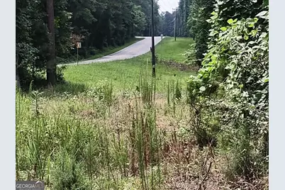 12371 Panhandle Road #LOT 3, Hampton, GA 30228 - Photo 13