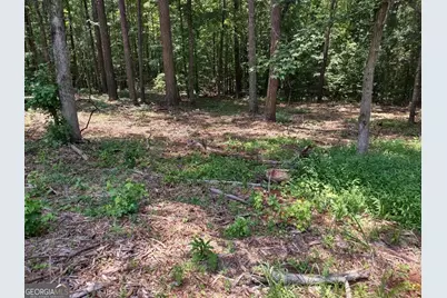 12317 Panhandle Road #LOT 4, Hampton, GA 30228 - Photo 7