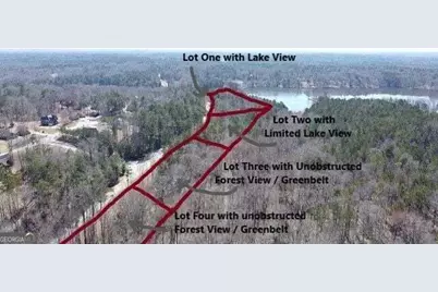 12317 Panhandle Road #LOT 4, Hampton, GA 30228 - Photo 5