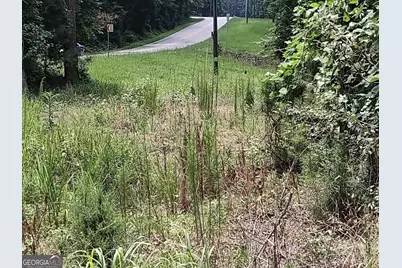 12317 Panhandle Road #LOT 4, Hampton, GA 30228 - Photo 13