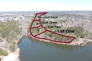 12317 Panhandle Rd, Hampton, GA 30228 - Photo 1