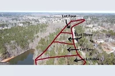 12317 Panhandle Road #LOT 4, Hampton, GA 30228 - Photo 3