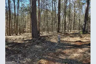 12317 Panhandle Road #LOT 4, Hampton, GA 30228 - Photo 15