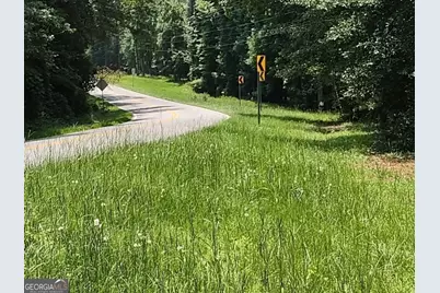 12317 Panhandle Road #LOT 4, Hampton, GA 30228 - Photo 9