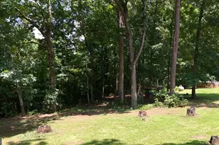 119 &amp 139 Nelson Rd, Franklin, GA 30217 - Photo 29