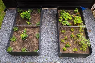 420 Greenfield Trce, Marietta, GA 30068 - Photo 51