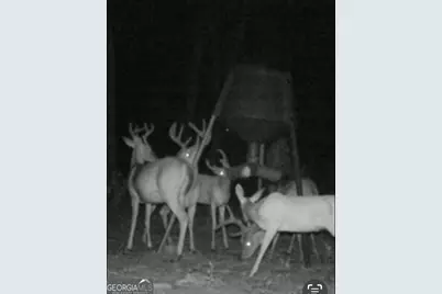 35 Tyler Road, Naylor, GA 31641 - Photo 69