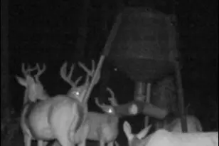 35 Tyler Rd, Naylor, GA 31641 - Photo 69