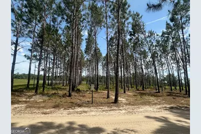 35 Tyler Road, Naylor, GA 31641 - Photo 71