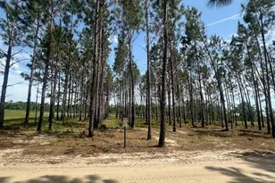 35 Tyler Rd, Naylor, GA 31641 - Photo 71