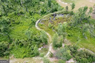 35 Tyler Rd, Naylor, GA 31641 - Photo 7