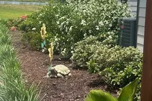 35 Tyler Rd, Naylor, GA 31641 - Photo 53