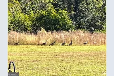 35 Tyler Road, Naylor, GA 31641 - Photo 73