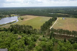 35 Tyler Rd, Naylor, GA 31641 - Photo 11